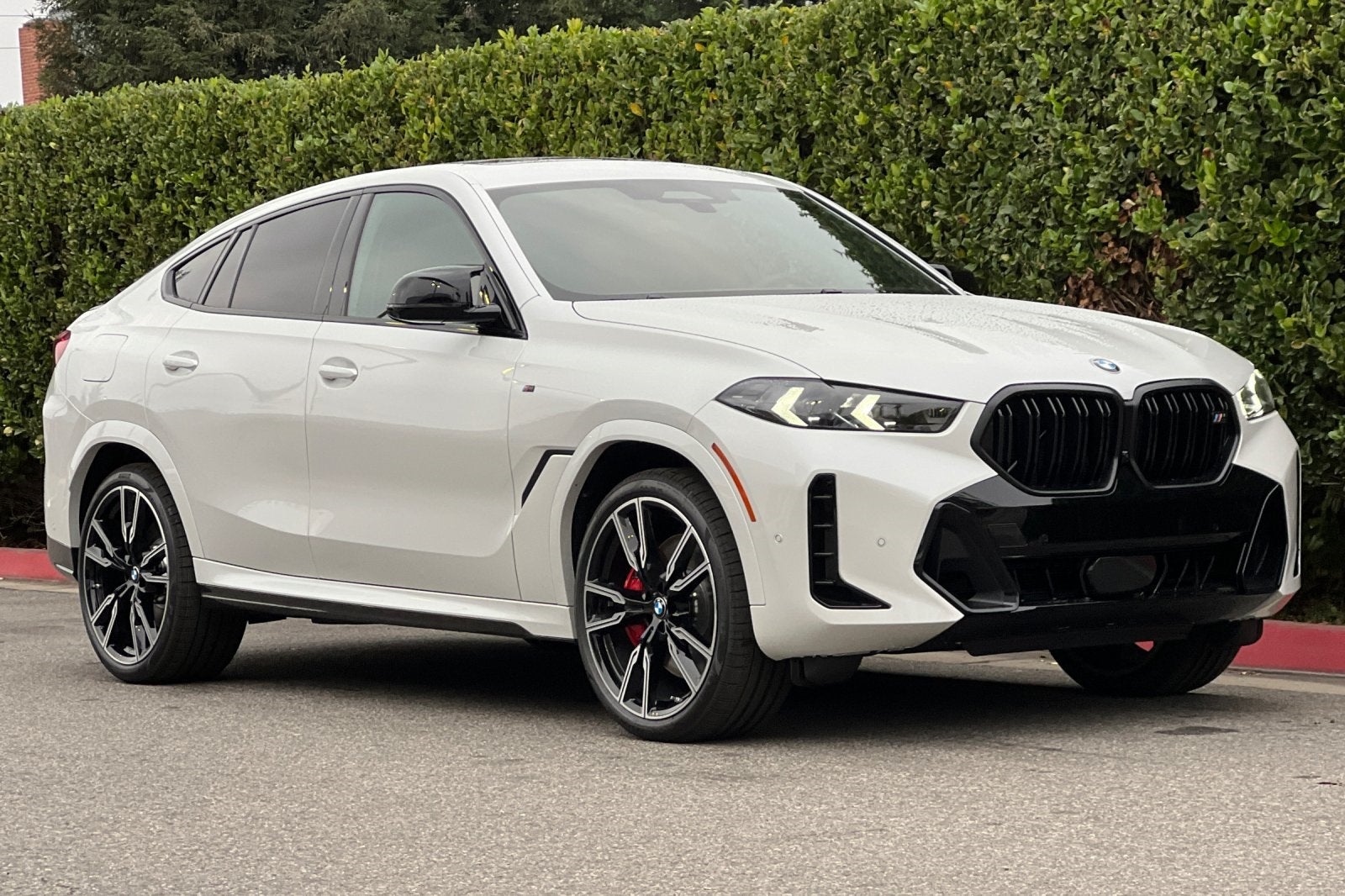 2026 BMW X6 M60i
