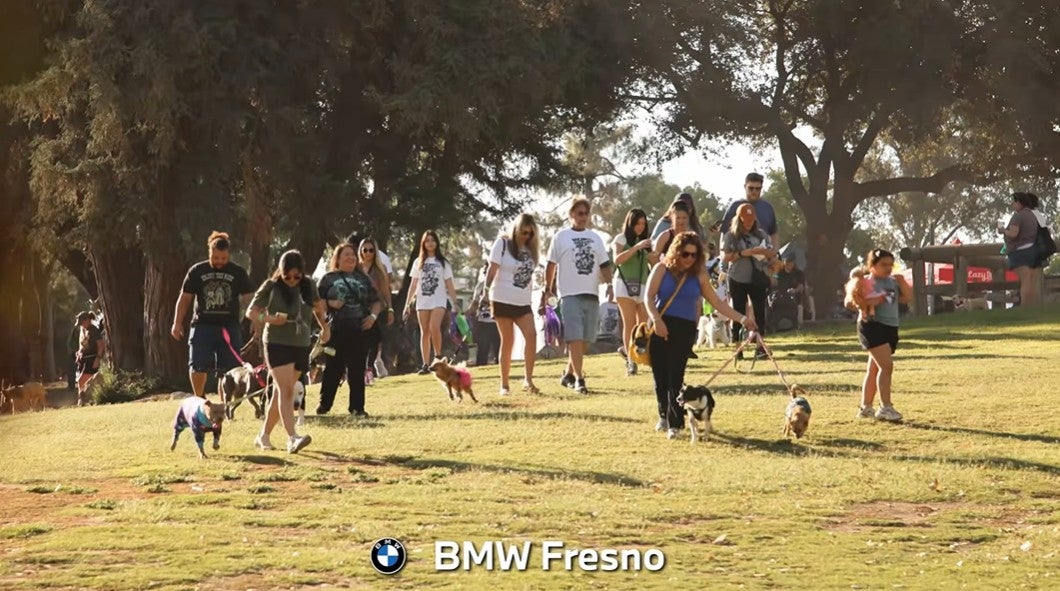 BULLY BOO WALK 2026, 10-4-26