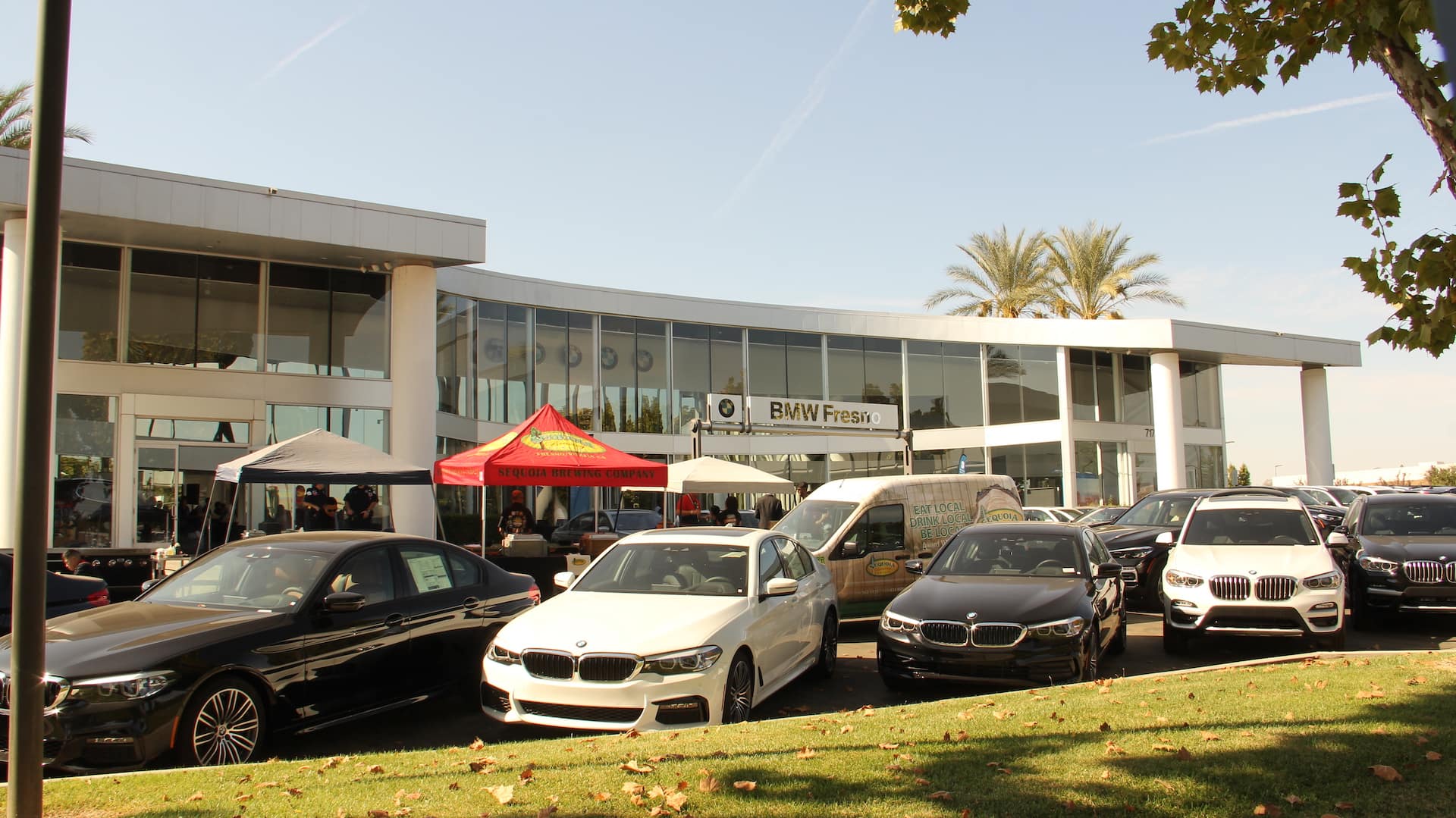 people dressed for halloween BMW Fresno in Fresno CA