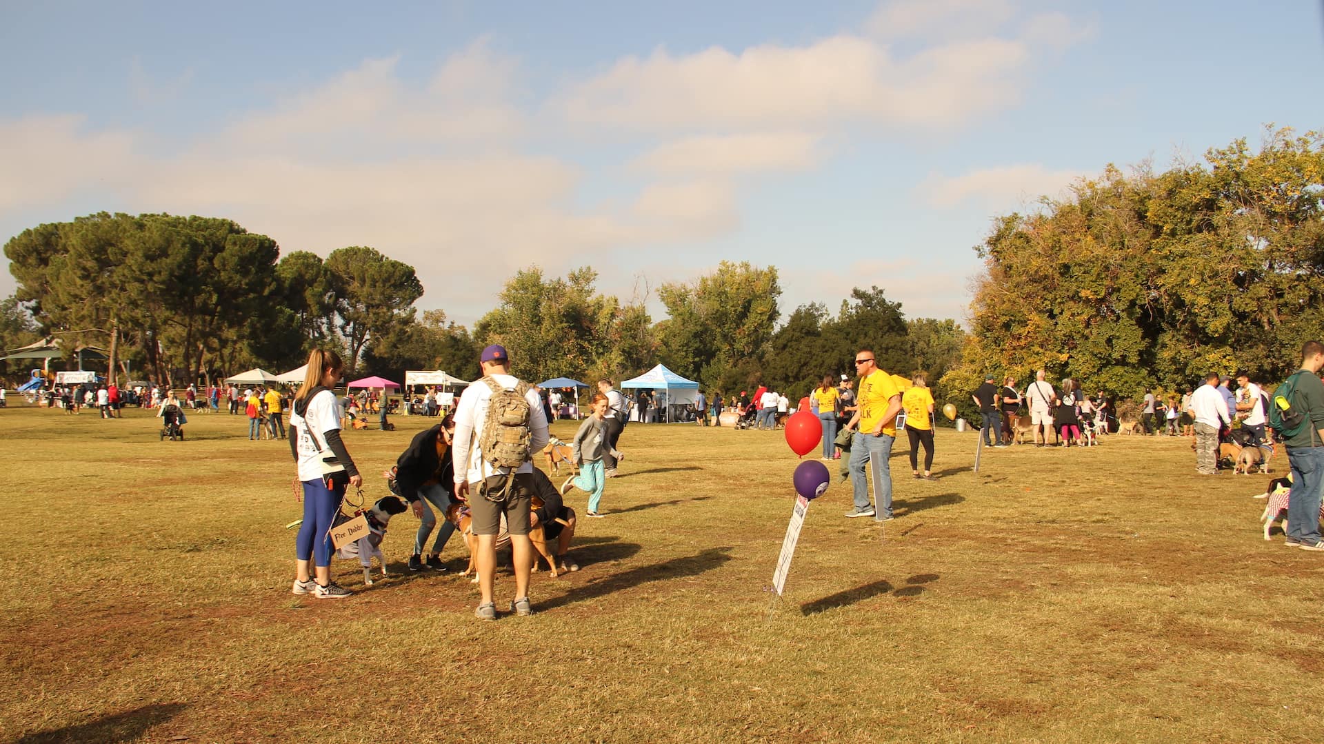 bully boo event BMW Fresno in Fresno CA