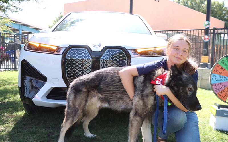Super Adoption 2023 / Valley Animal Center - BMW Fresno in Fresno CA