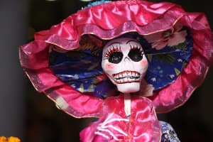 Business Expo/Dia de Los Negocios - BMW Fresno in Fresno CA