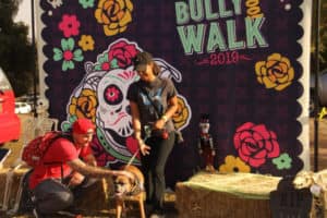 2019 Bully BOO! - BMW Fresno in Fresno CA